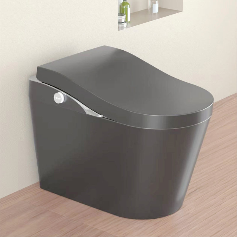 Tankless Modern Smart Toilet With Bidet, Auto Flush, Auto Open/Close,Heated Seat, Warm Water And Dry, Foam Shield Function White, Matte Grey