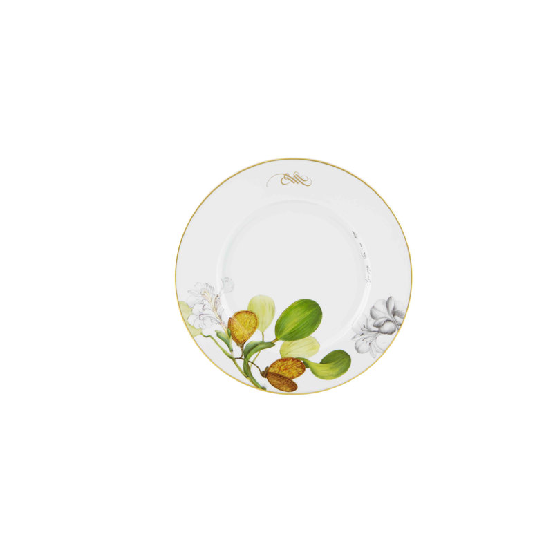Amazōnia Porcelain Dinnerware Set