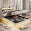 Upholstered Ottoman Storage Bed-600823490-600823488