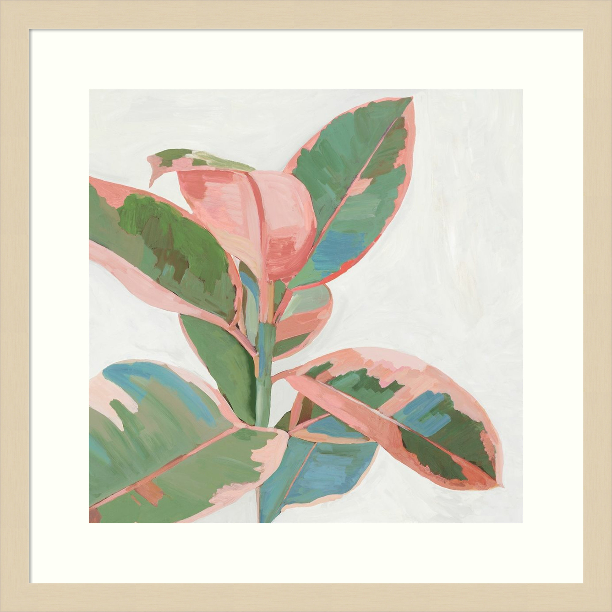 Pink Ficus I by Asia Jensen, 19" H x 19" W, Natural Framed Paper