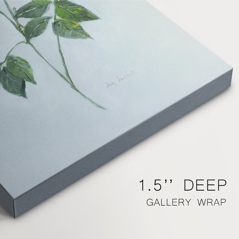 Rose Beauty II -Galerie enveloppée Cavas, H 60 po x l 40 po