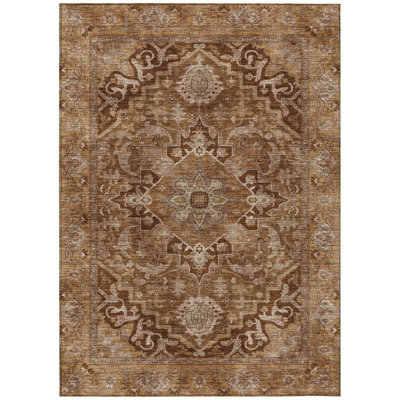 Machine Washable Indoor/Outdoor Arline ACN2165 Global Rug