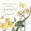 Art sur toile tendu Lark Manor ™, Katie Gallery: Citron Curiosities IV-1525966067