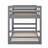 Twin Size Bunk Bed with Ladder and Solid Construction (No Box Spring Needed)