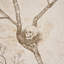 Papier peint L’attesa Nella Notte-112294260