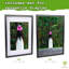 Acrylic Picture Frame - Set of 3-120344577