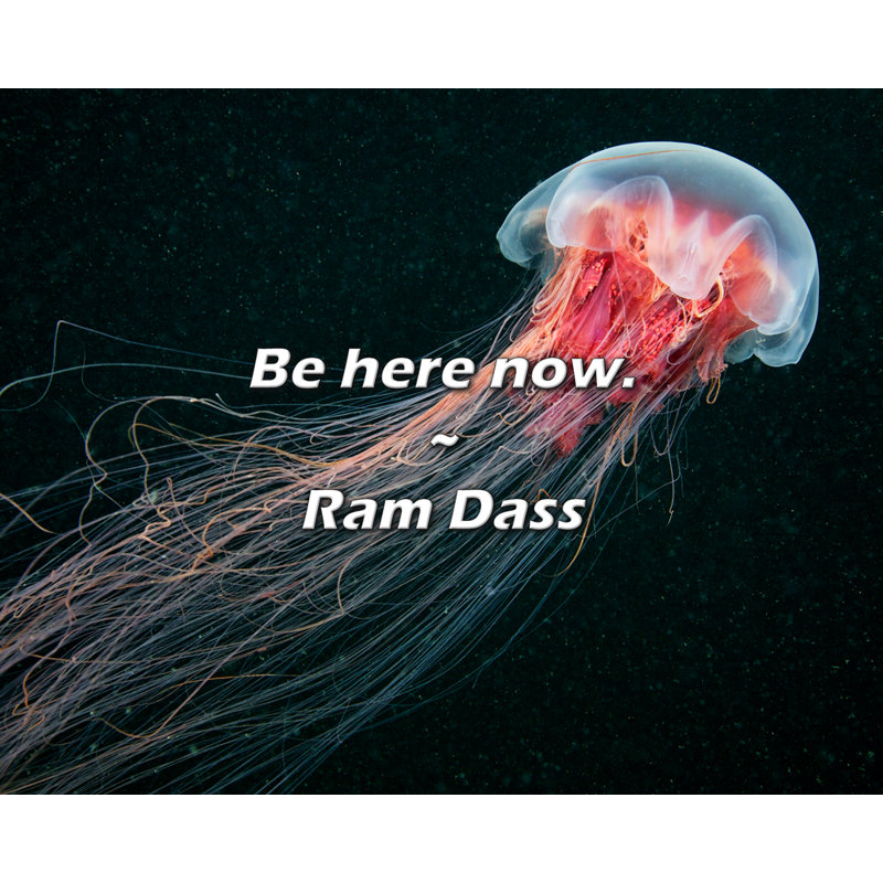 Ram Dass, citation: Soyez ici maintenant., H 26 po x l 32 po