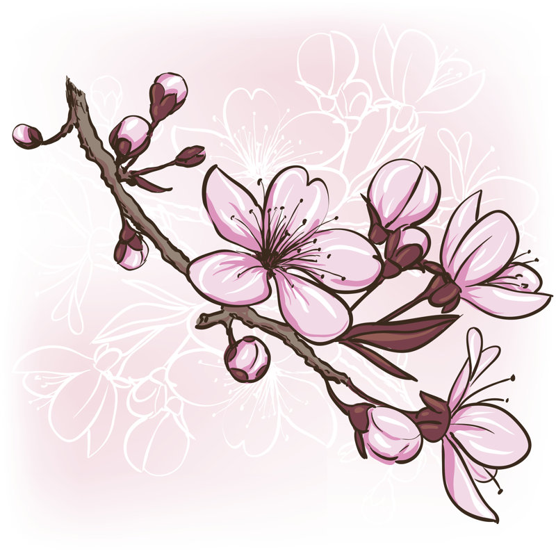 Sakura Flowers by Elenita 1 - Wrapped Canvas Print, 51cm H x 51cm W x 3.8cm D