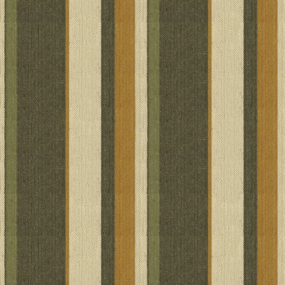 Volume 3 Drummond Stripe - Gold/Sepia