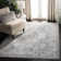 Pearce Oriental Area Rug