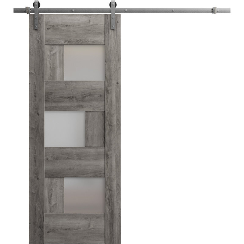 Ensemble de porte de grange robuste en verre givré de 6,6 pi Sete, 18 po x 80 po, Gris Nebraska