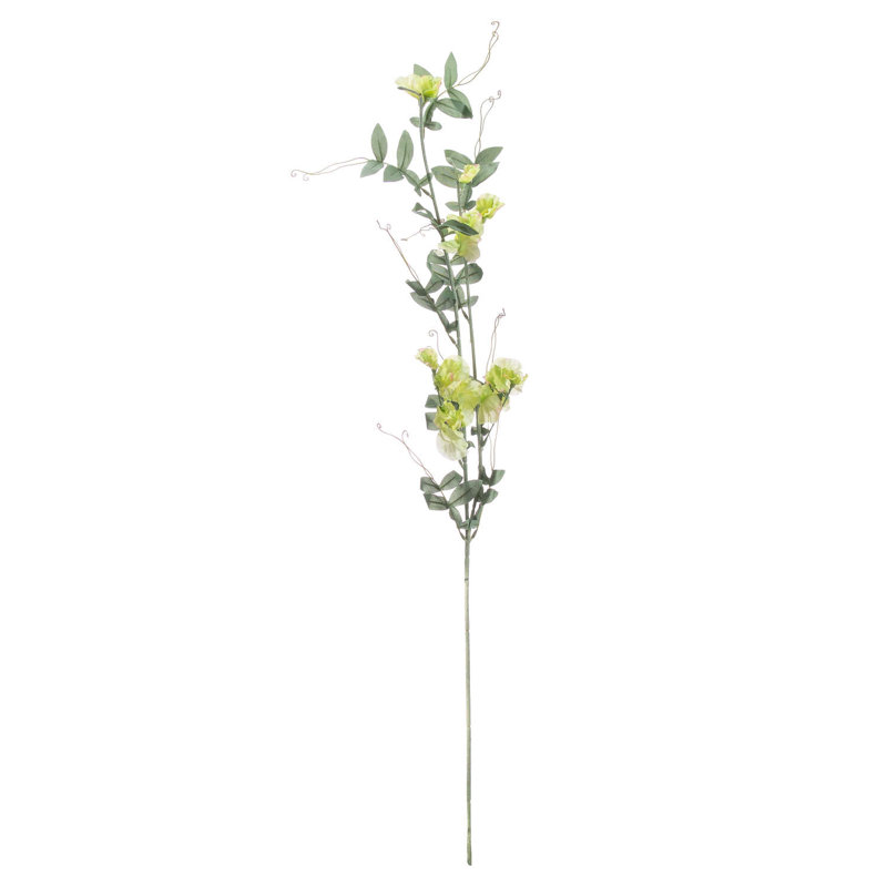 Anastasija Arrangement