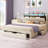 Chantise Upholstered Storage Bed with LED Lights and Built In USB Port-656268511-613874407