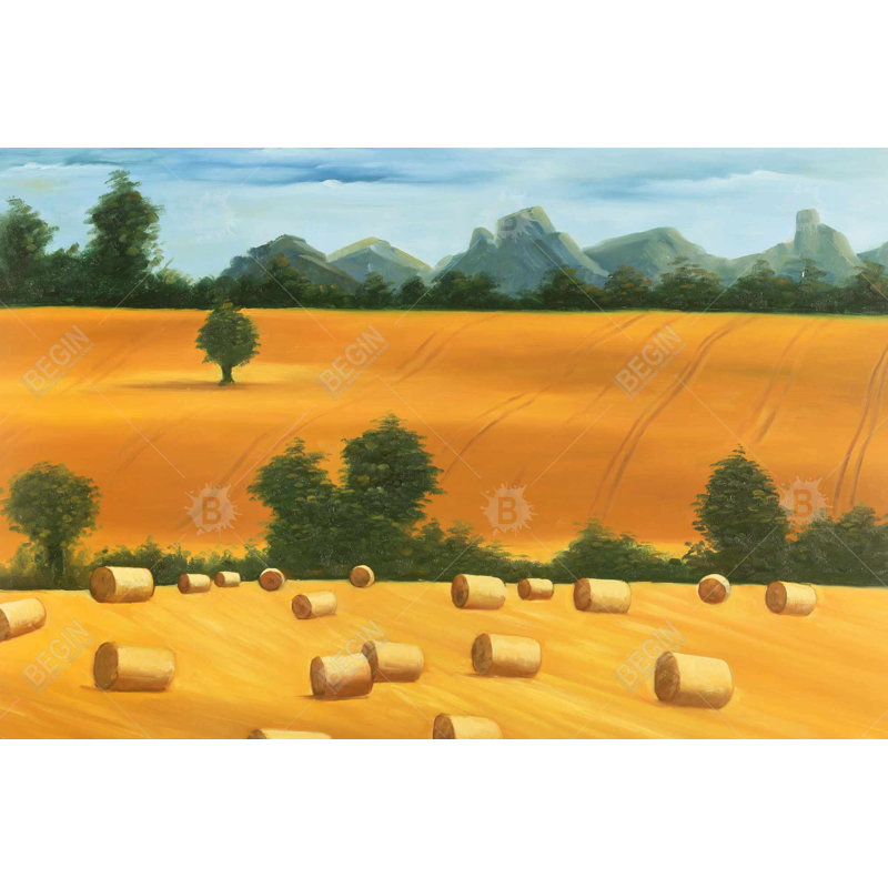 " Hay Bale Fields "
