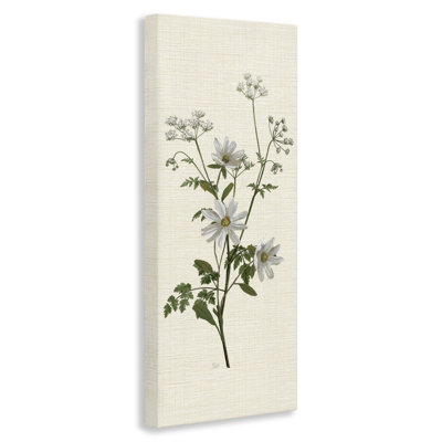 Budding Wild Herbs Canvas Wall Art, design by Nan