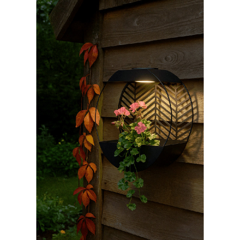 Wall Planter