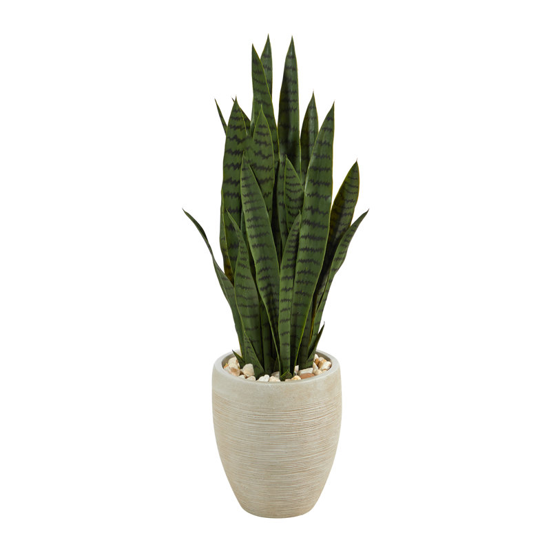 Plante de serpent artificielle en pot, H 40 po x l 13 po x P 13 po, Vert, Beige