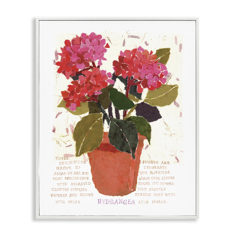 Art d'hortensia rouge audacieux par Nancy Overton bg-199, Estampe numérique encadrée blanc bord de mer, H 14 po x l 11 po