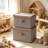 2 Pack Storage Bins With Lids, Collapsible Closet Organizer Container, Fabric Organizer Box With Handles, Decorative Storage Boxes With Lids-353045705