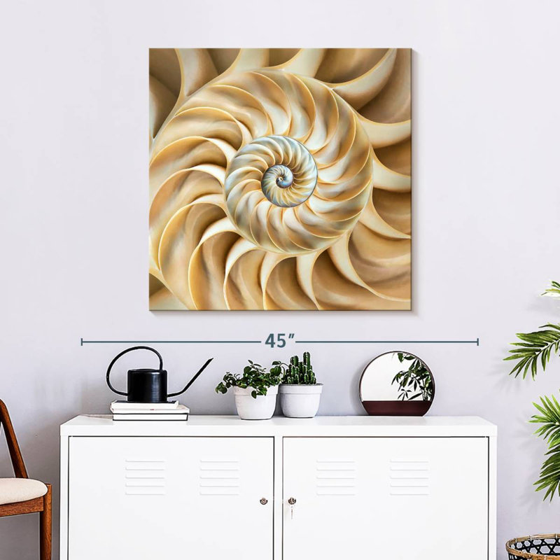 Arney Nautilus Symmetry, H 30 po x l 30 po