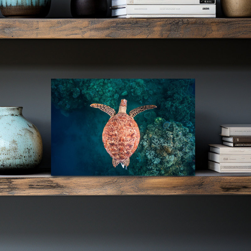 Graceful Sea Turtle Swim Peaceful Serene Vibrant Turtle Nature Ocean Wall Art Print 1 Piece Wrapped Canvas Wall Art