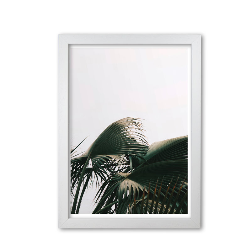 Bushy Palm Leaves - Print, White Grain Frame, 60 cm H x 42 cm W x 5 cm D
