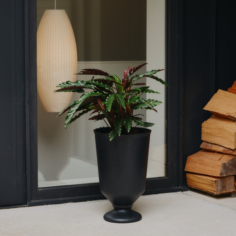  Ensemble de 2 pots à fleurs 23 "Vibrato Urn - noir