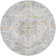 Dieon Oriental Indoor Rug