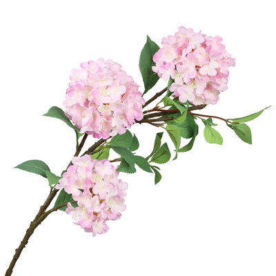 Hydrangea Arrangement