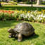 Statues de tortues de jardin en béton - Sculptures et statues de tortues d'intérieur ou d'extérieur, cadeaux de décoration de jardin, pelouse, cour