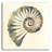 " Shell I " by Studio Mousseau-1908354600