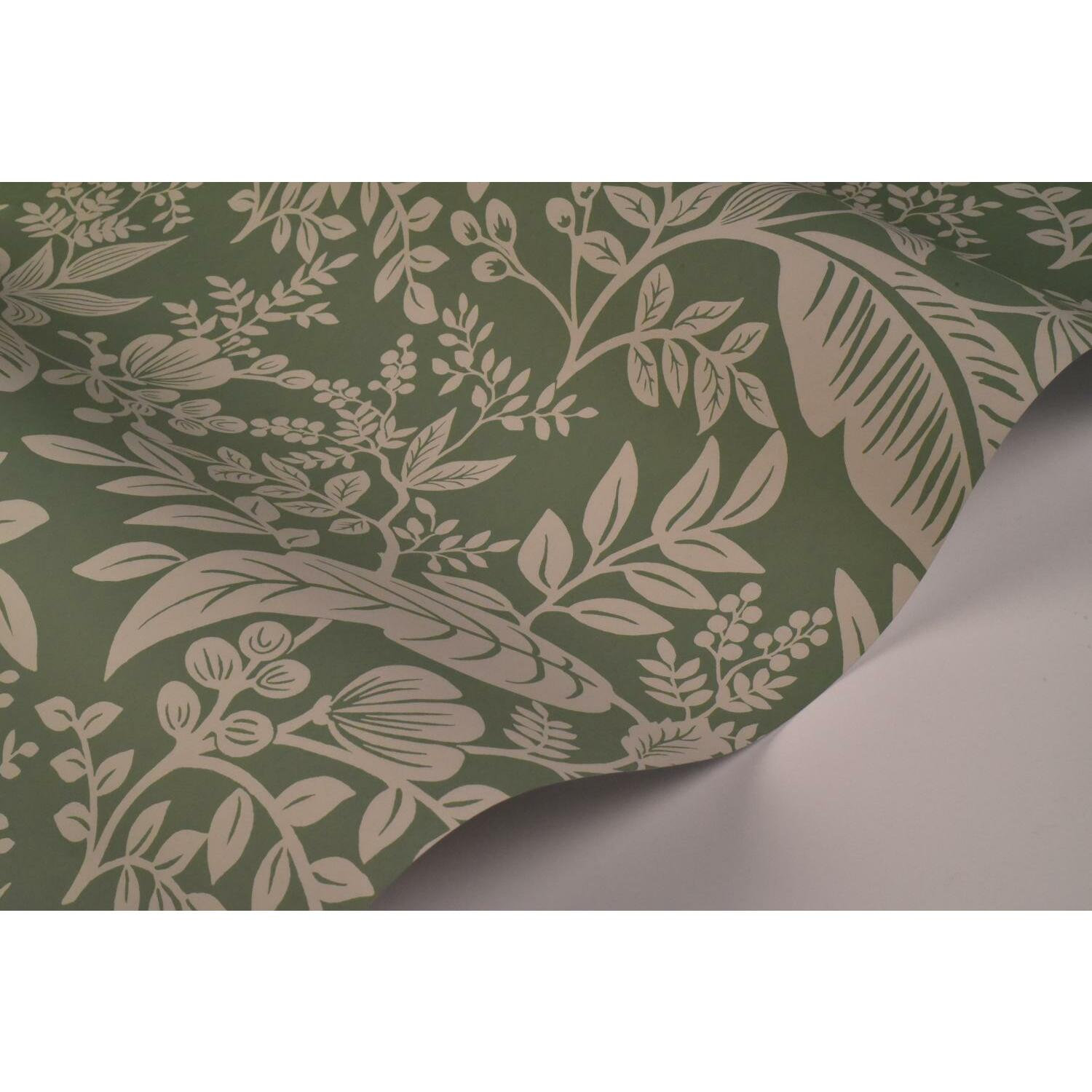 Canopy Wallpaper Double Roll, Sage
