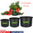 Paisynn Nursery Pot-1162030727