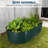 8X4X2Ft Outdoor Raised Garden Bed With Cover-26098013