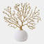Sea Fan Decorative Object