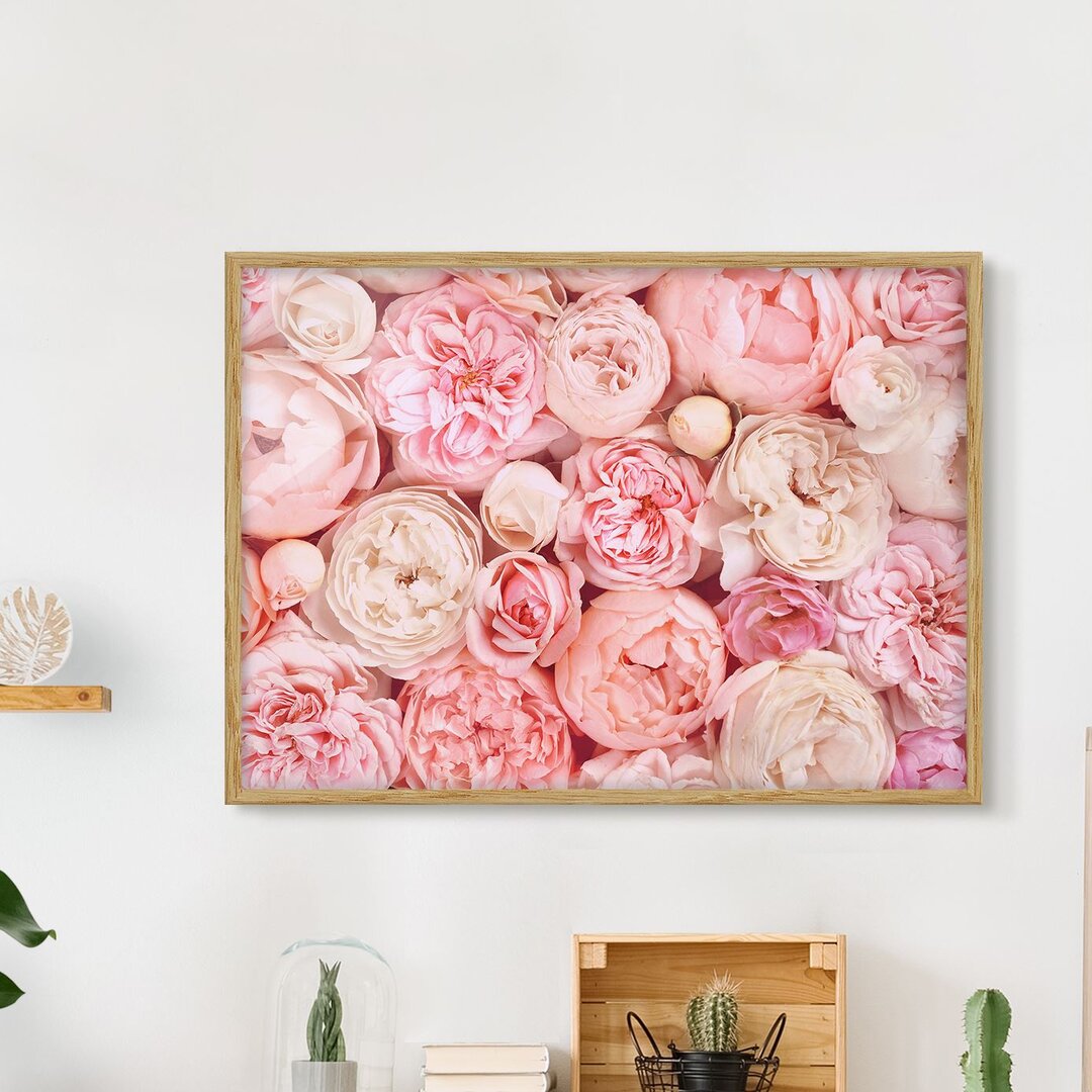 Gerahmter Grafikdruck Roses Coral Shabby