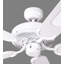 Shayla 132cm Ceiling Fan-9433259-62519673