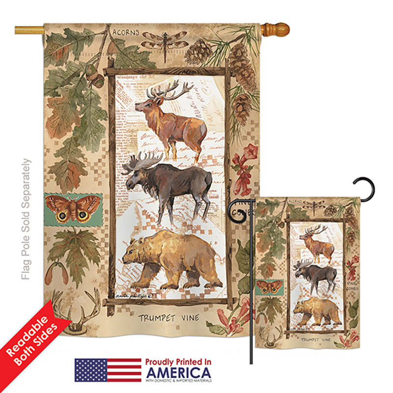 Bois de polyester 40 x 28 po. sauvage à l’aventures ensemble de drapeau