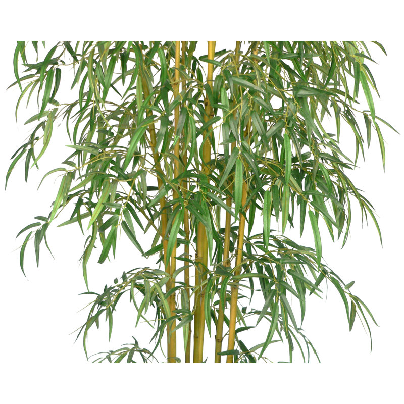 Silk Bamboo Tree in Basket