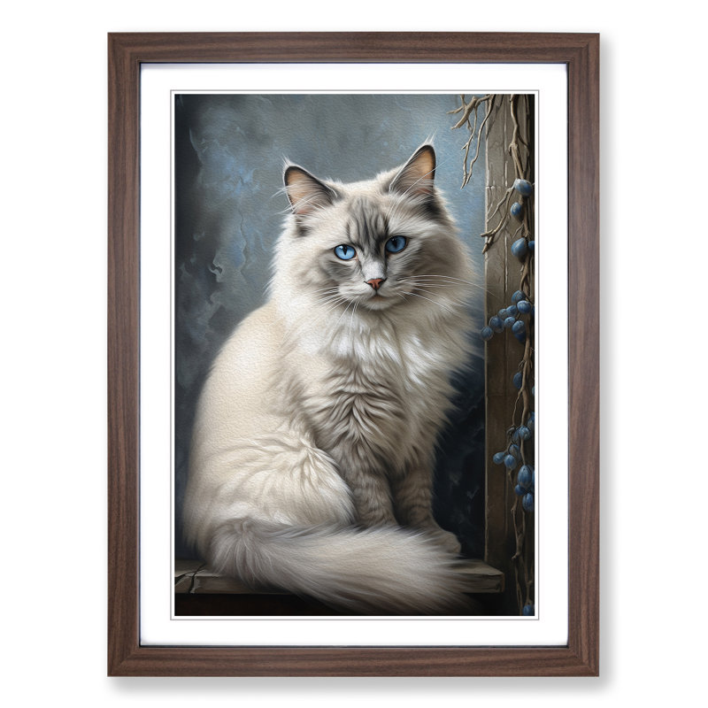 Ragdoll Cat Realism - Single Picture Frame Print on Wood, Walnut Framed, 64cm H x 46cm W x 2cm D