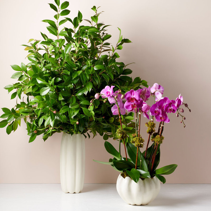 Mirabelle Ceramic Table Vase, Cream