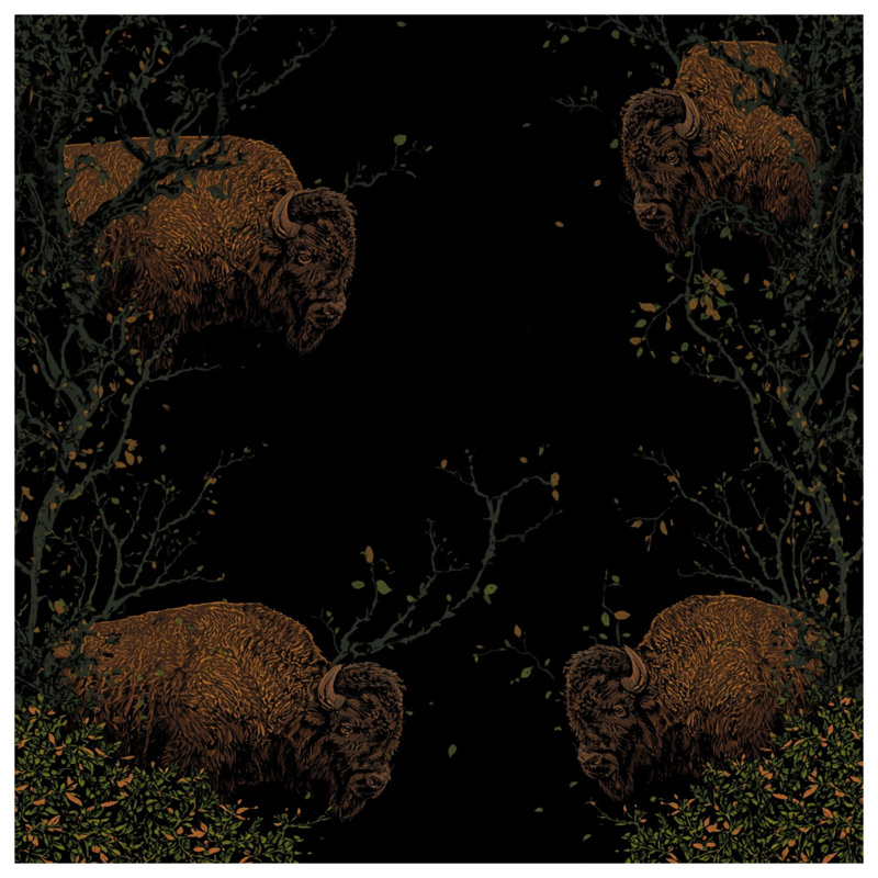 Buffalo In Woodland Scene Blankets, 60in W x 80in H