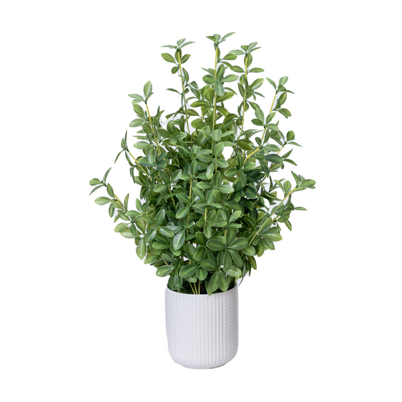 Ensemble de 2 pots à fleurs en céramique 18 po x 14 po