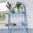 5-Tier Ladder Shelf