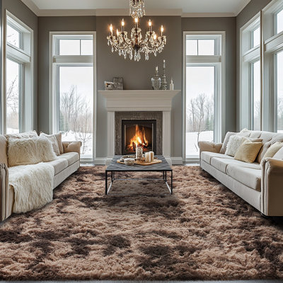 Area Rugs for Bedroom Living Room, Fluffy Fuzzy Shag Shaggy Soft Plush Carpet, Indoor Floor  Rug for  Decor Aesthetic