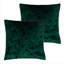 Square Cushion-398422100-398422101
