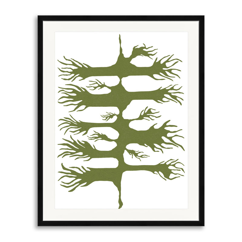 Wild Root par Trish Sierer - impression, Papier avec cadre noir, 30" H x 24" W