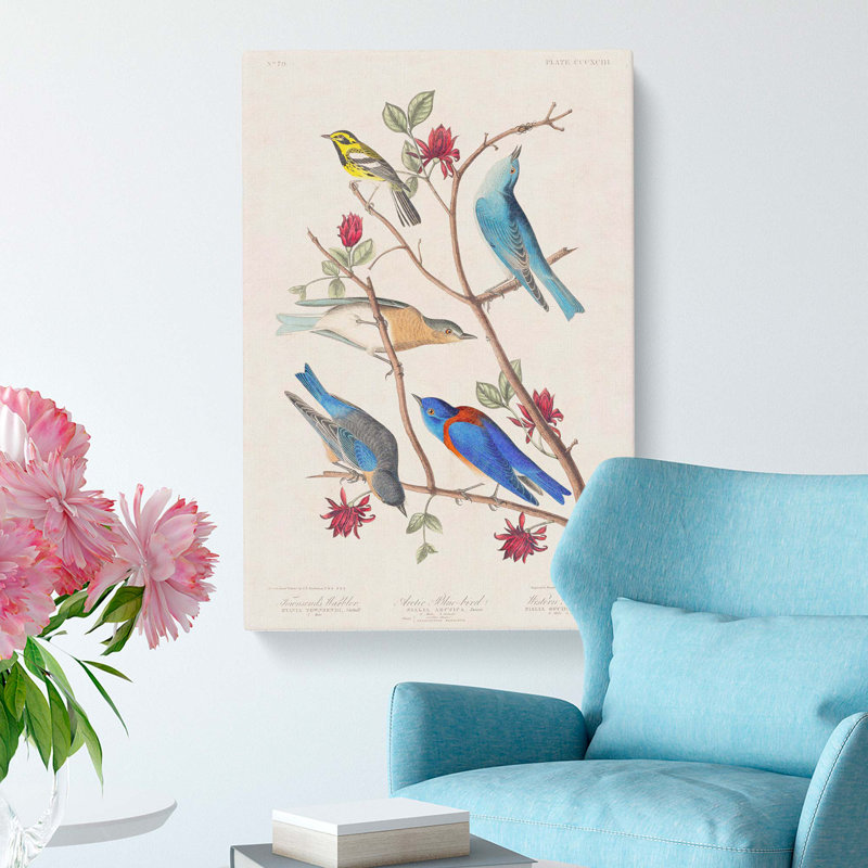 Warbler Bird & Blue-Birds by John Audubon - Wrapped Canvas Painting, 60cm H x 40cm W x 3cm D