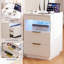 40 cm W 2 -Drawer Filing Cabinet-1312764251