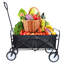 Chariot de plage pliable